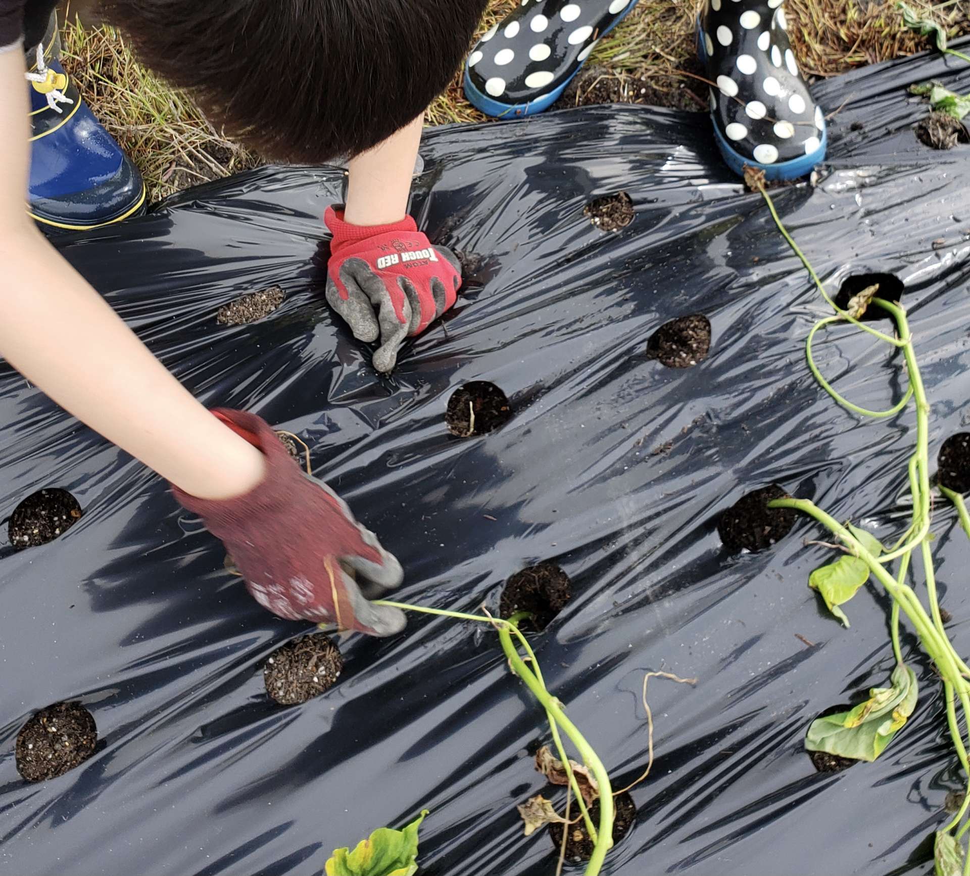 やっと、、、！