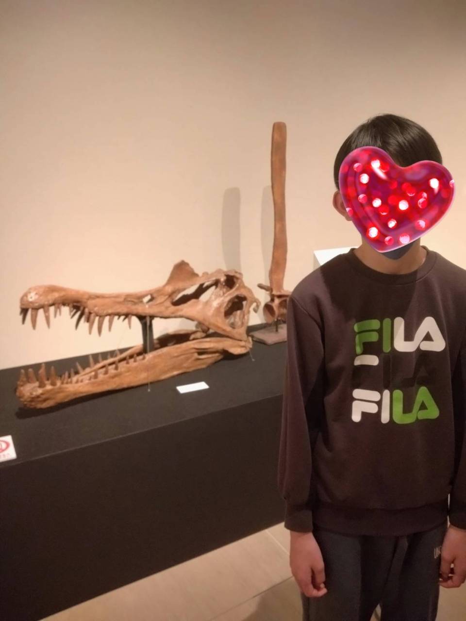 わけあって絶滅しました展