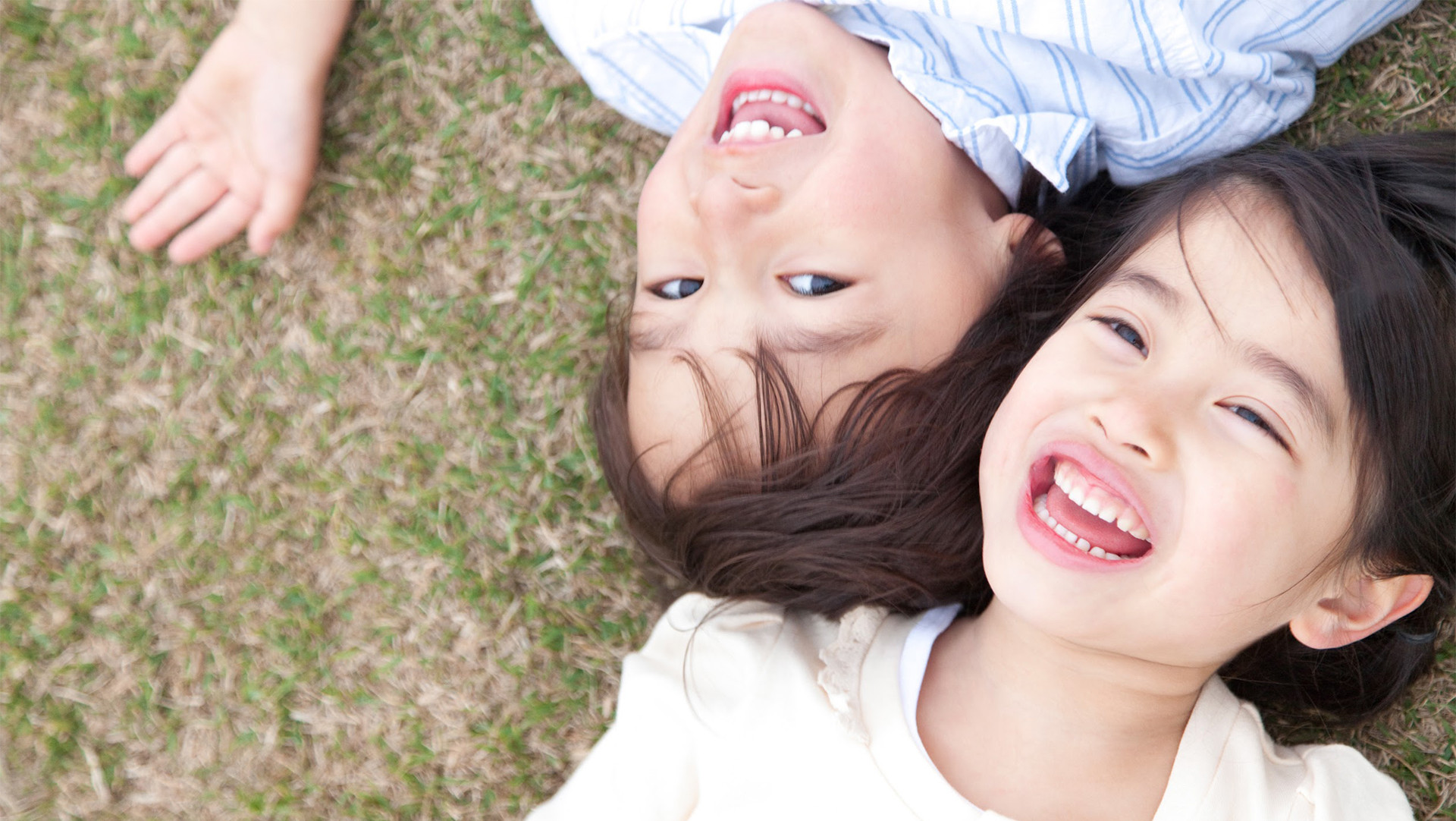 合同会社エルブイアール